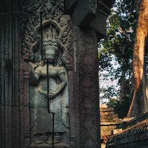 NFF angkor 39