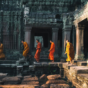 NFF angkor 40