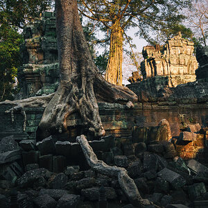 NFF angkor 41