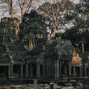 NFF angkor 42