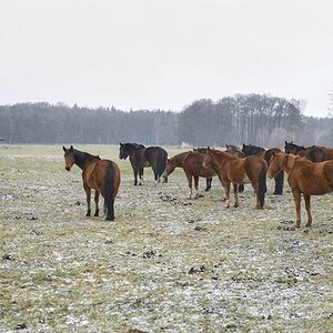 Erster Schnee
