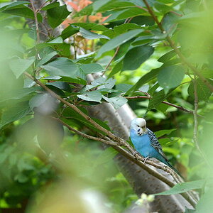 DSC 0919