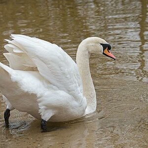 ab ins Wasser