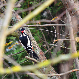 DSC 9828 khg