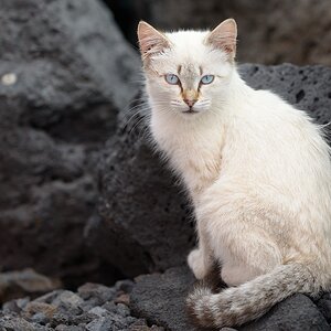 2014 01 12 16 53 57 DSF 8598