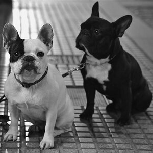 black & white