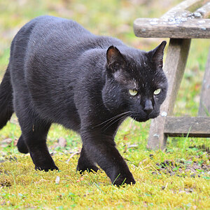 DSC 0411 khg