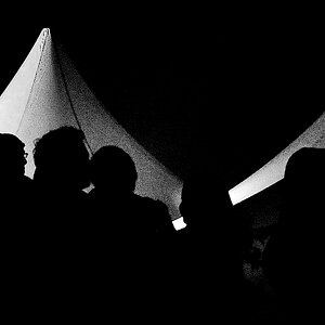Picknick im Park 2008
