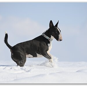 130209 Gebershei 011