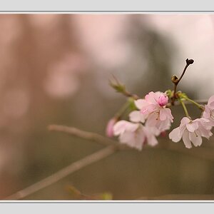 Compressed 0548