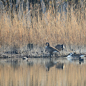 DSC 0578 khg