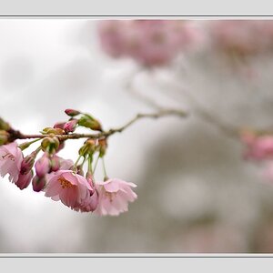 Compressed 0547