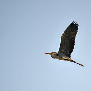 DSC 0598 khg