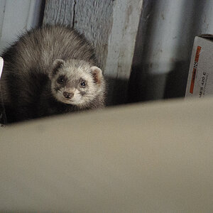 20140309 DSC 3487