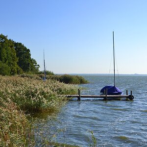2013 10 02 Steinhuder Meer (1494)