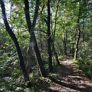 2013 10 02 Steinhuder Meer (1538)