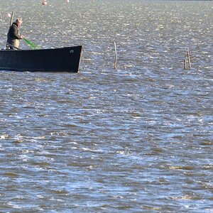 2013 10 02 Steinhuder Meer (1765)