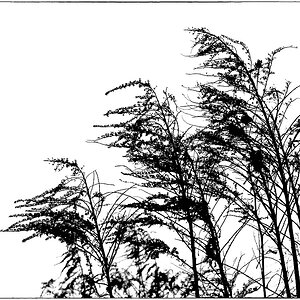 E002659c