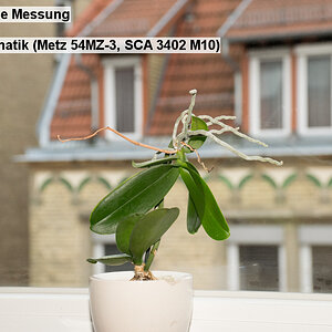 05   Mittenbetone Messung   Blitz  Automatik (Metz 54MZ 3, SCA 3402 M10)