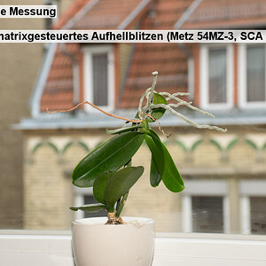 07   Mittenbetone Messung   Blitz  TTL matrixgesteuertes Aufhellblitzen (Metz 54MZ 3, SCA 3402 M10)