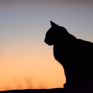2013 12 25 18 54 34 DSF 6585