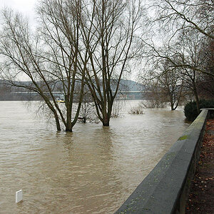 Rheinhochwasser 2010, Flkm 652, Bonn (DSC 0032x)
