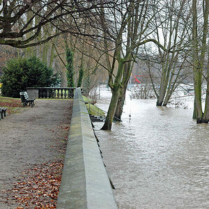 Rheinhochwasser 2010, Flkm 652, Bonn (DSC 0023x)