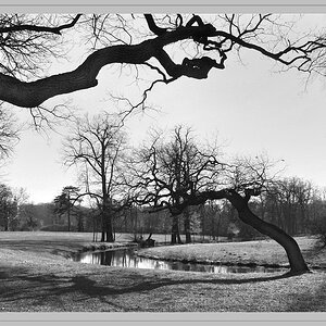 Muskauer Park DSC 3188