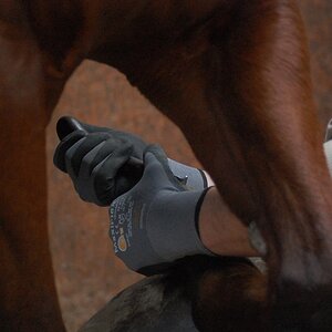 Stephan und sein Pferd 02.03.14 017