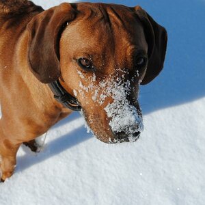 Luca die Schneenase :)