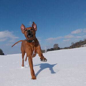 Juhu, spielen im Schnee :)