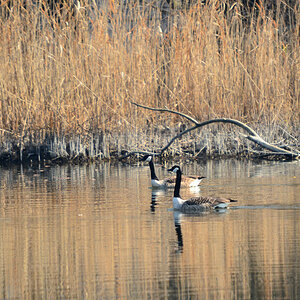DSC 0616 khg