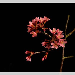 Compressed 0534