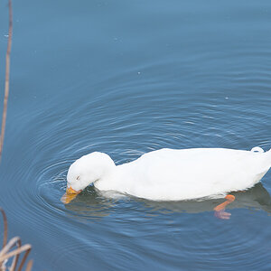 20140302 DSC 0067