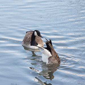 20140302 DSC 0071
