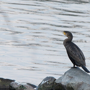 20140302 DSC 0103