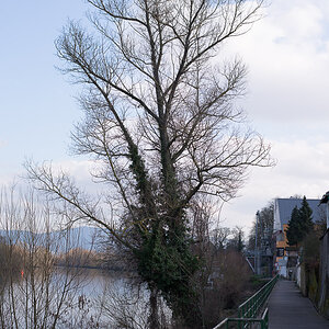 20140302 DSC 0121