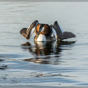 20140319 5826 [NIKON D7100] 500 mm,1 800 Sek. bei ƒ   7,1