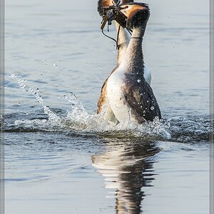 20140319 5866 [NIKON D7100] 500 mm,1 800 Sek. bei ƒ   7,1 3