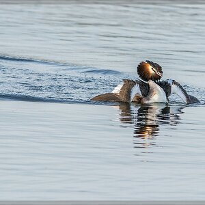 20140319 5909 [NIKON D7100] 500 mm,1 800 Sek. bei ƒ   7,1