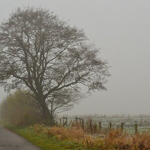 2013 11 21 Steinhuder Meer (1885)