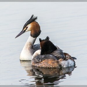 20140319 5946 [NIKON D7100] 500 mm,1 320 Sek. bei ƒ   7,1