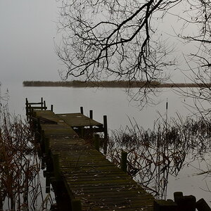 2013 11 21 Steinhuder Meer (1931)