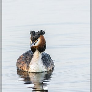 20140319 5942 [NIKON D7100] 500 mm,1 400 Sek. bei ƒ   7,1