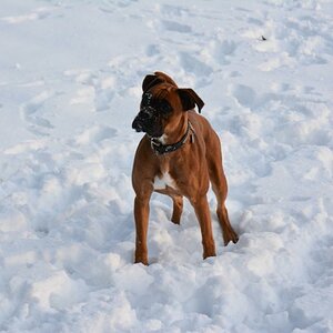 Spaß im Schnee