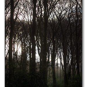 morgenlicht