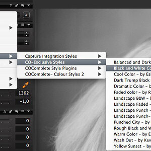 CaptureOne UserStyles