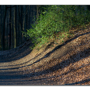 abendlicht2