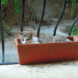 Sommerurlaub 2012 0440 low