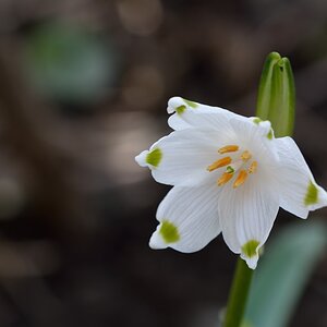 Frühling